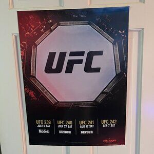 UFC 239 240 241 242 Promo Fight Poster 2019 Zuffa 18 x 24 Octagon View